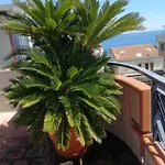 Casa 2 Sole - Mare - Montagna - Con Terrazza E Vista Suggestiva Mascali