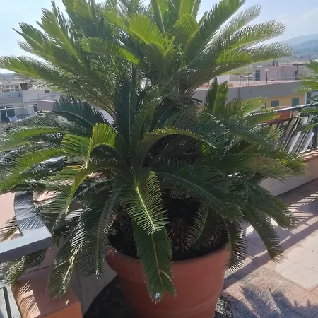 Apartman Casa 2 Sole - Mare - Montagna - Con Terrazza E Vista Suggestiva Mascali